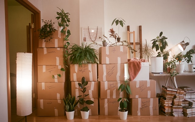 Verhuizing